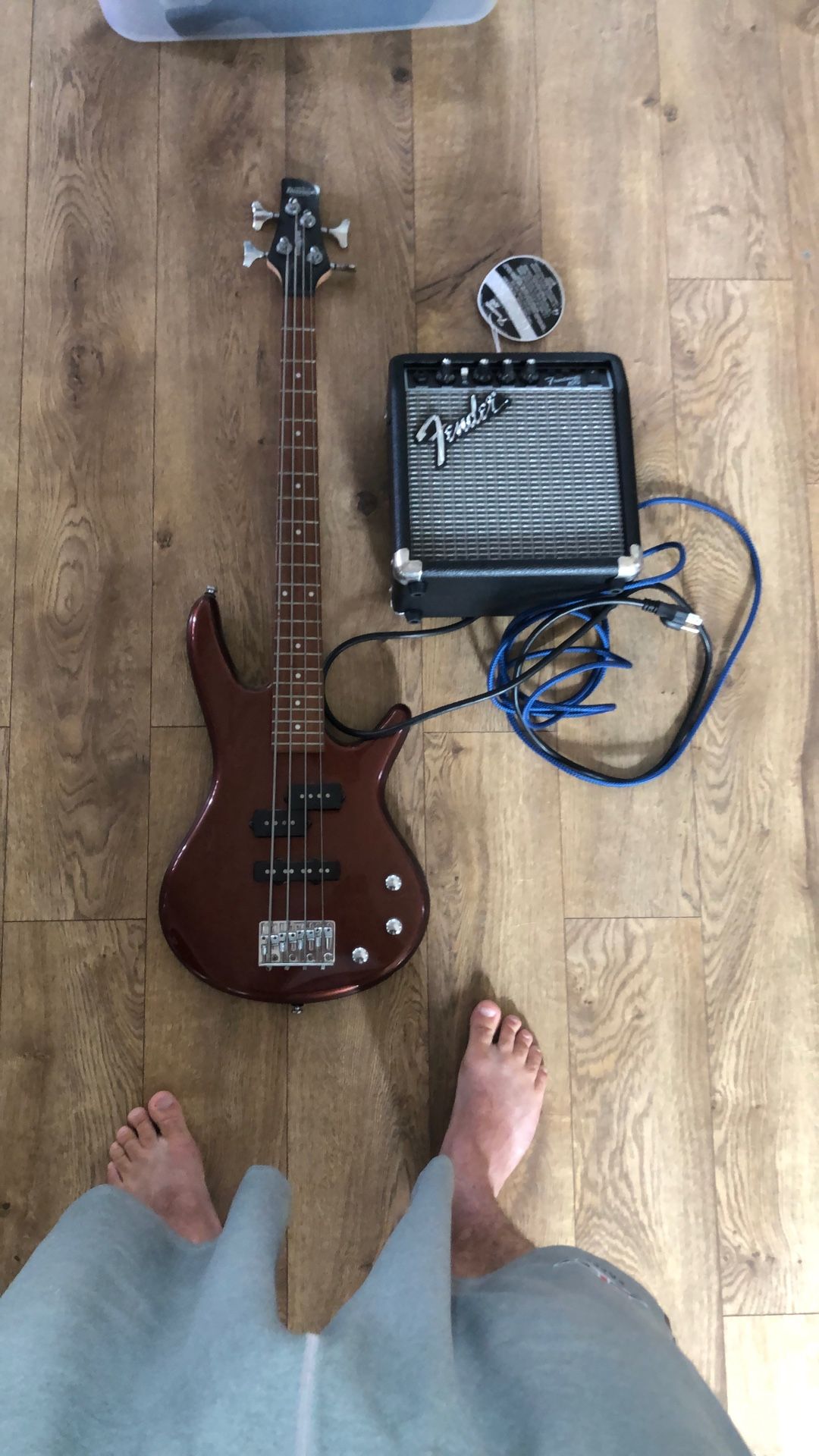 Ibanez Mikro Bass Guitar
