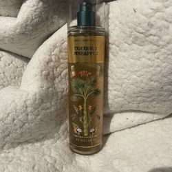 Coconut Pineapple Bath and Body Works $14