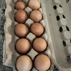 Farm Fresh Eggs Free Range