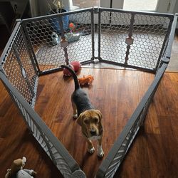 Puppy playpen