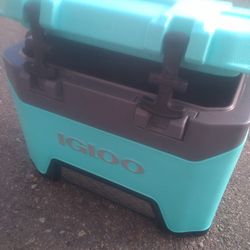 Igloo Turquoise Color