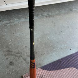 Baseball Bat And Glove