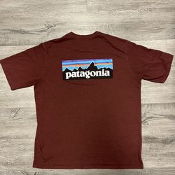 Patagonia T-shirt Responsibili-Tee Maroon Mens  XL