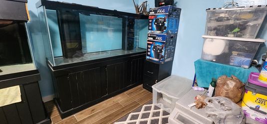 150-gallon Fish Tank Aquarium