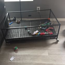 Puppy open Crate 