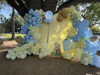 Balloon Garlands Set Up 