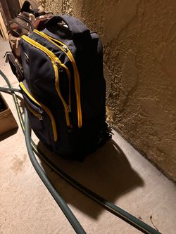 Two rolling bags