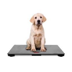 $100 I CARE DIGITAL PET SCALE 