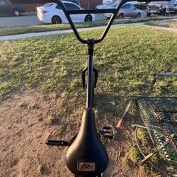 Elite Bmx Bike 