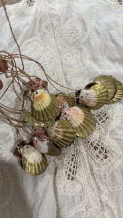 Long strand of sea shells