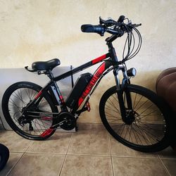 Electric Bike