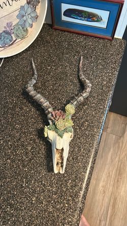 Decorative Skull with Succulents Wall Decor