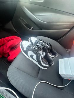 panda dunks