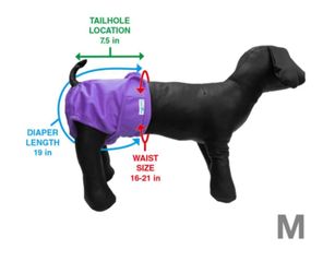 Pet Diapers  washable