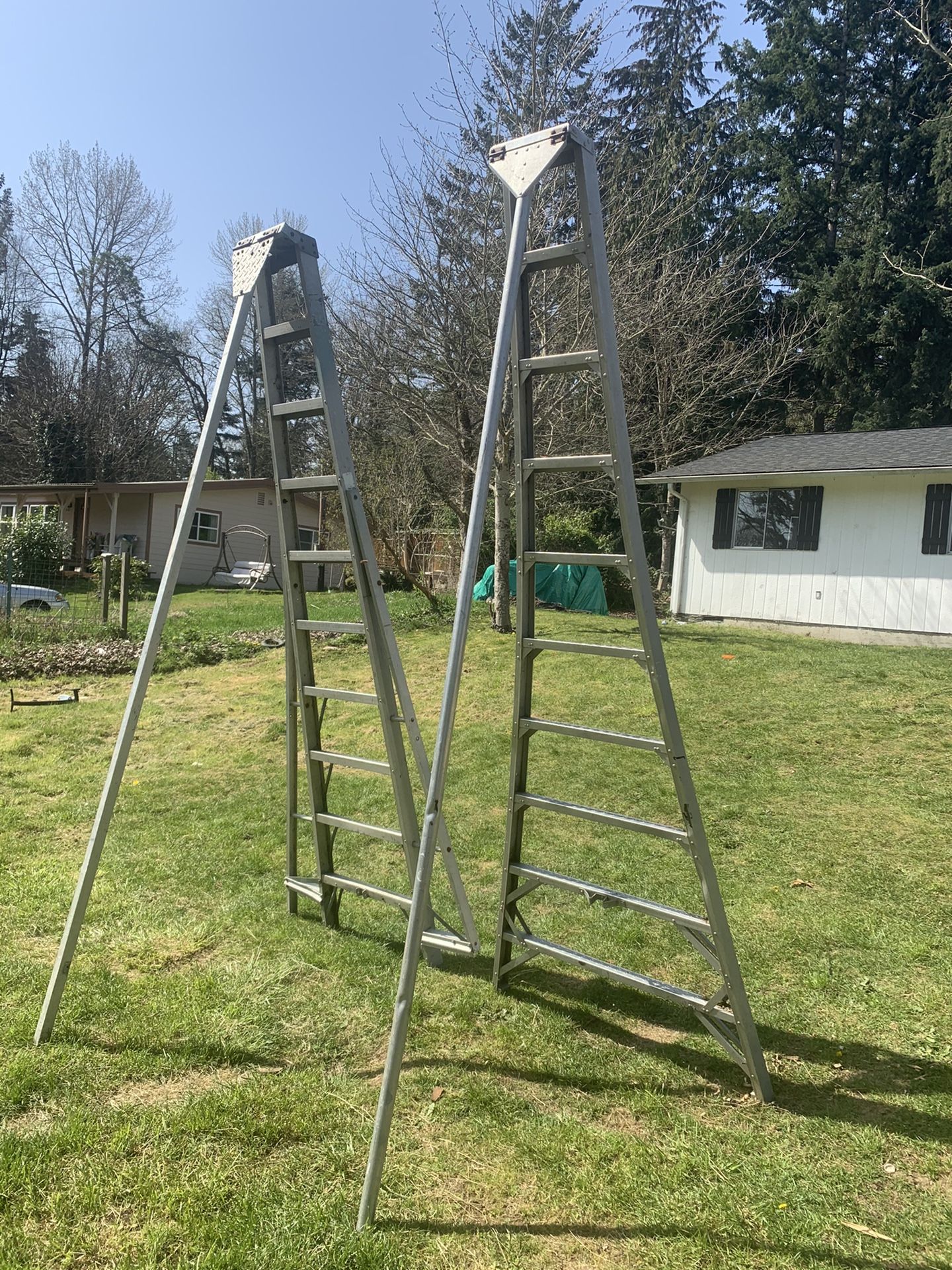 2 Long Ladder $175 And $200 Ladder OBO