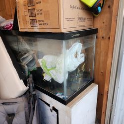 Used Fish Tank