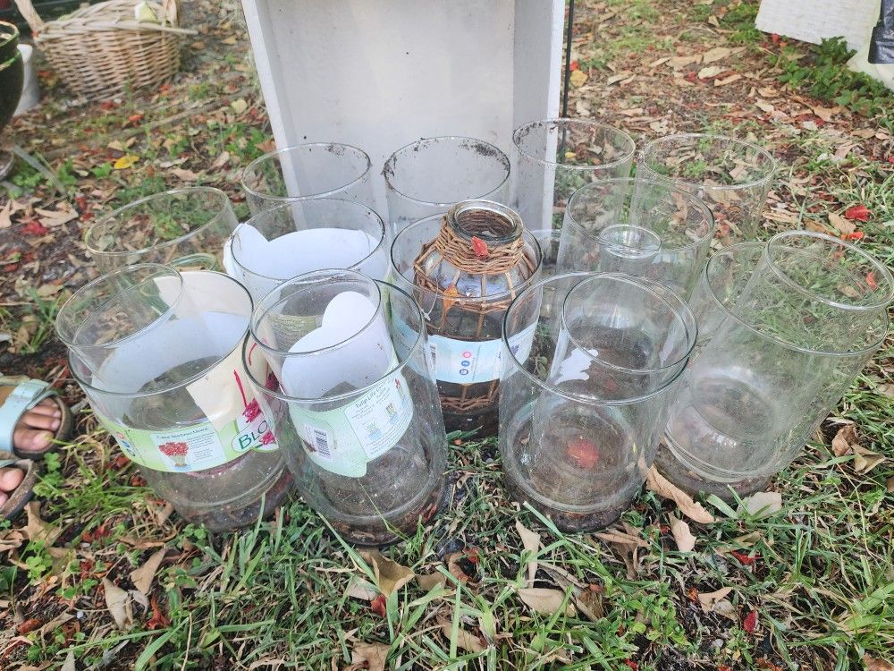 Glass Vases