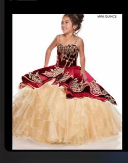 Vestido charro