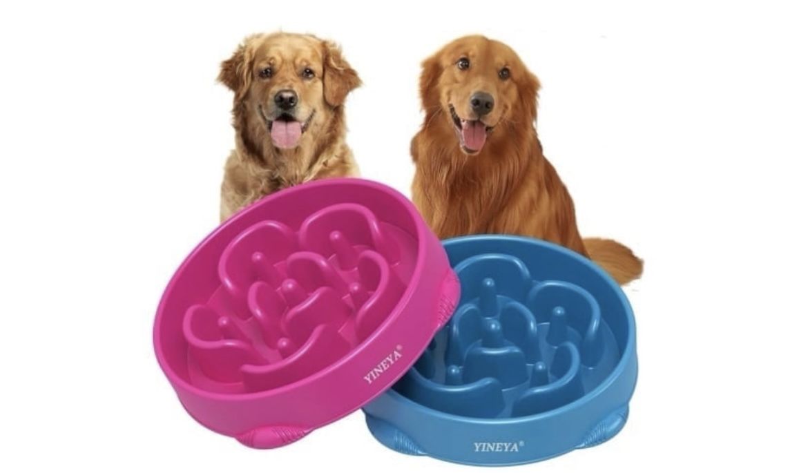 Pet Food Bowls for Large Dogs, Slow Feeder Pet Bowls. (AC)