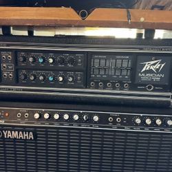 Iso. Peavey musician guitar amplifier head
Recently sold for 60.00 willing to pay 350.00 cash for it.