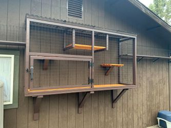 Catio