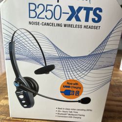 BlueParrott Wireless Headset 