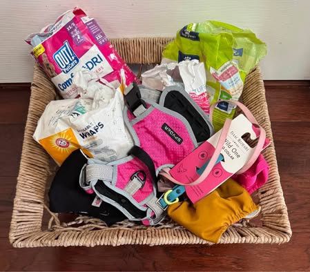 Dog Size XS Female Items in a basket just $10 for all some new
