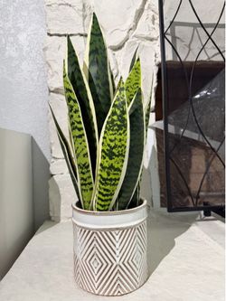 Artificial snake plant