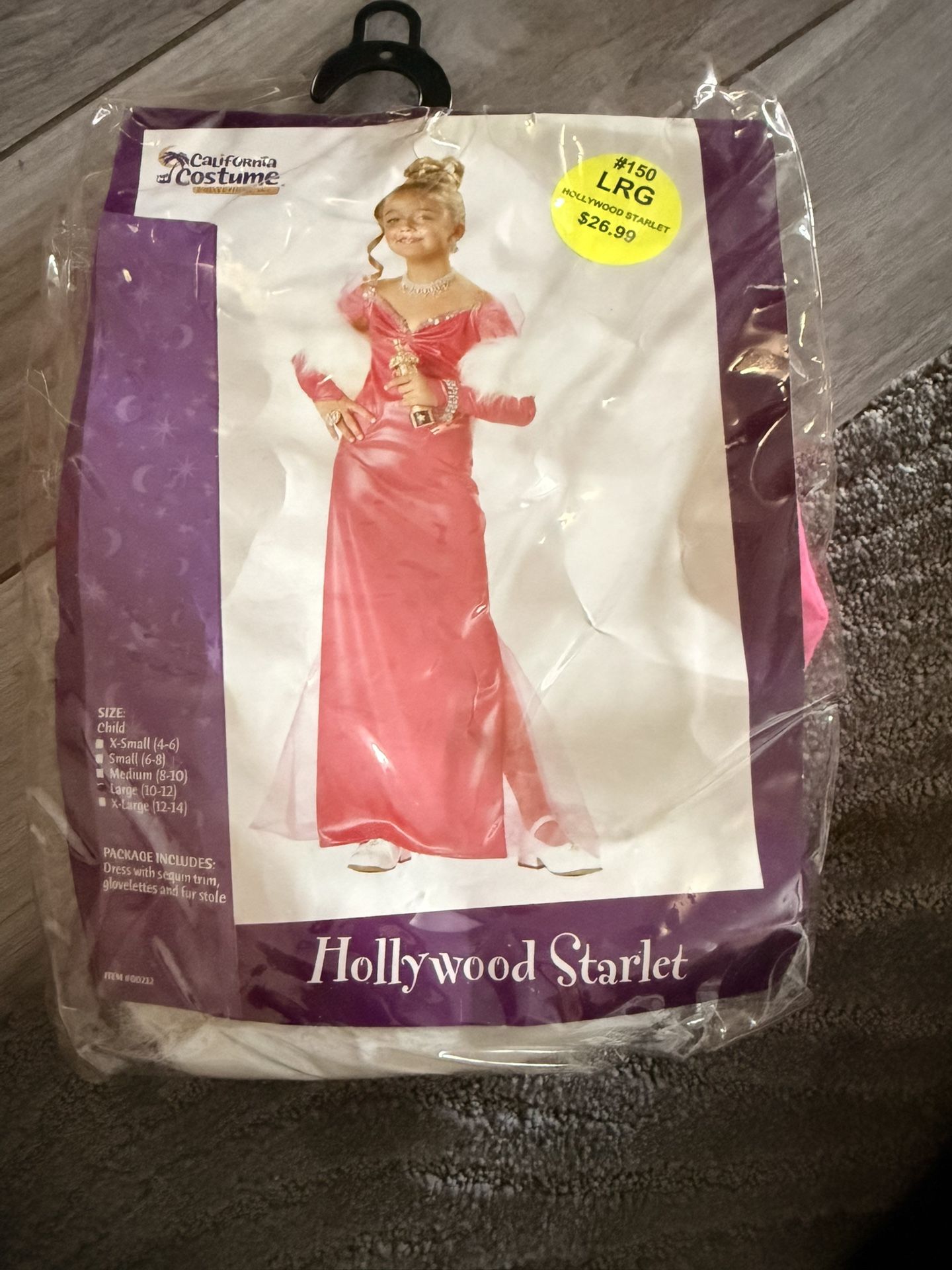 Halloween Costume (princess)