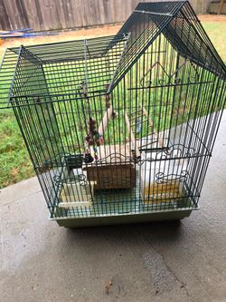 Bird cage