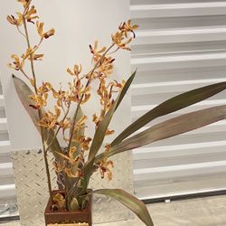 Orchid Plant Artificial