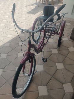 Schwinn Adult Tricycle