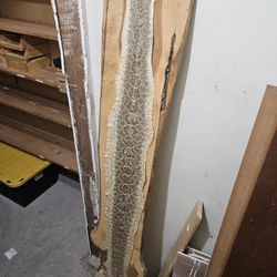 Rattlesnake Skin With Rattle