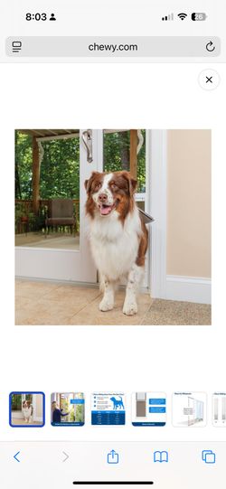 Dog Sliding Door