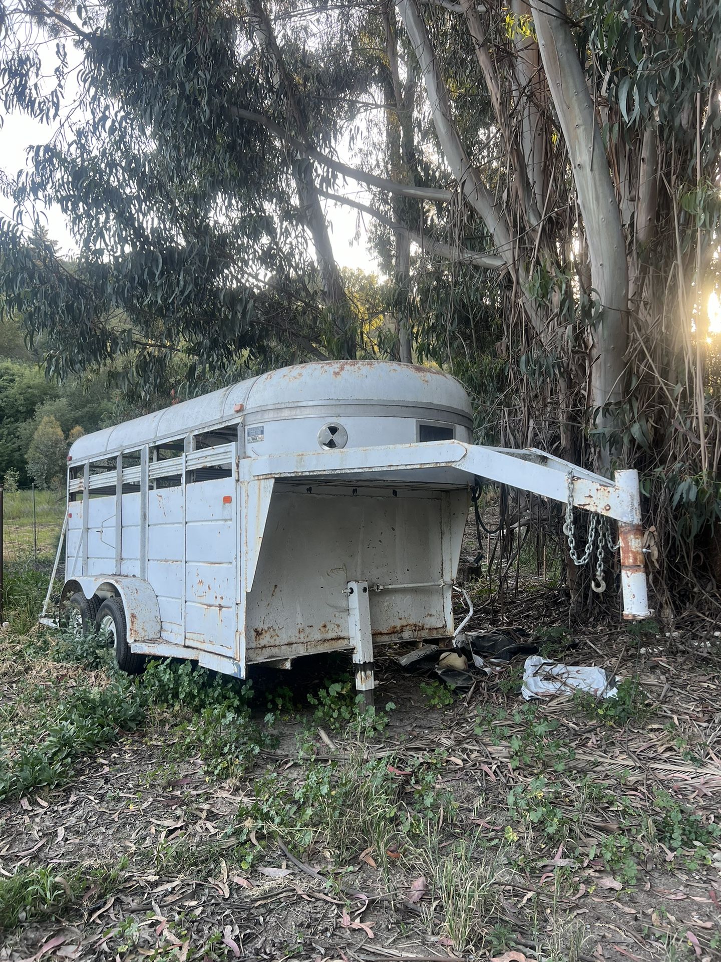 Gooseneck Horse/Caddle Trailer