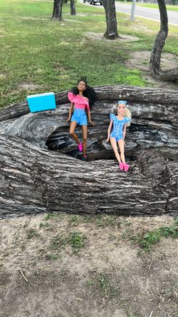 Camping Barbie Dolls!