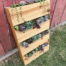 Succulent Pallet Garden Decor