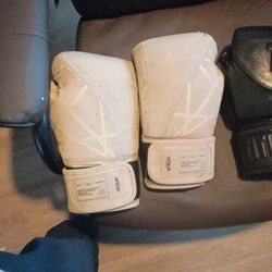 Title Boxing Gloves