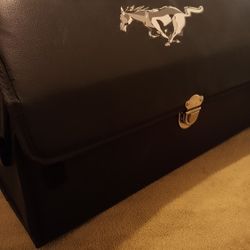 Mustang Manual Case