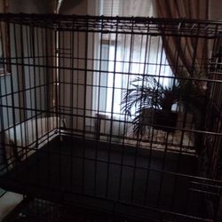 Black Metal Cage (Medium)