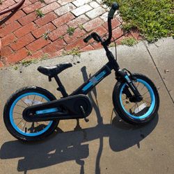 Smarttrike Extend Bike