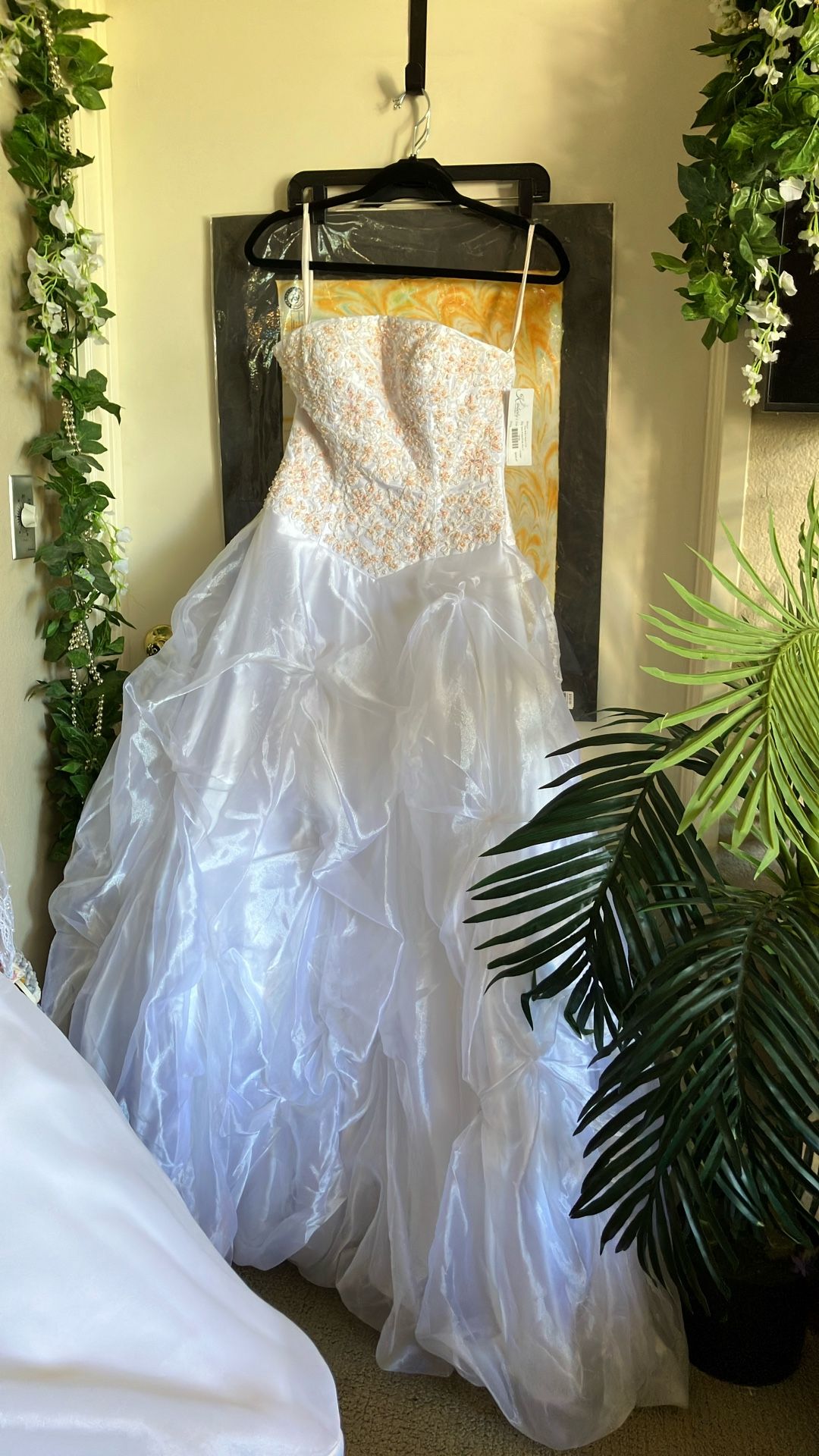 Joli Quinceanera Dress - Never Worn Size 2-4