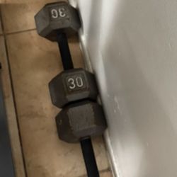 30 Pound Dumbbells