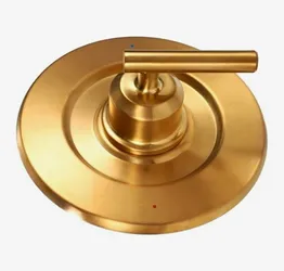 Gold Metal Shower Valve Trim Kit for Moen Posi-Temp Wall Mount Single Lever