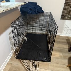 Dog Kennel 
