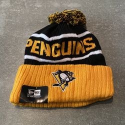 PRICE IS FIRM Brand new Pittsburgh Penguins beanie