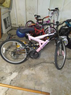 Mountain Bike