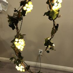 Gia De Hubas Con Luses 