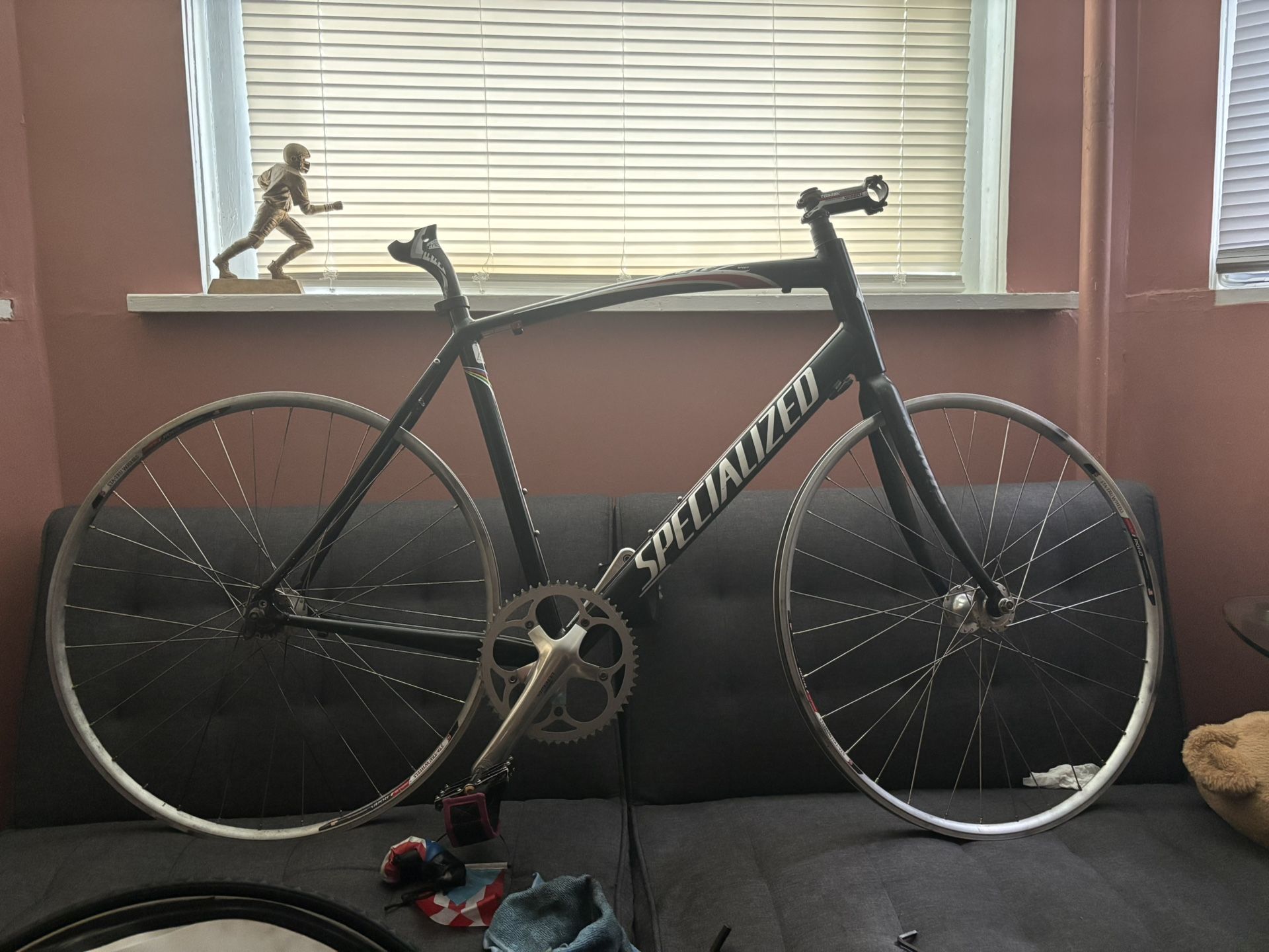 Specialized