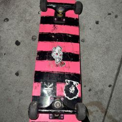 Skate Board 